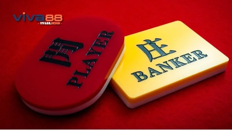tai-sao-choi-baccarat-luon-thua